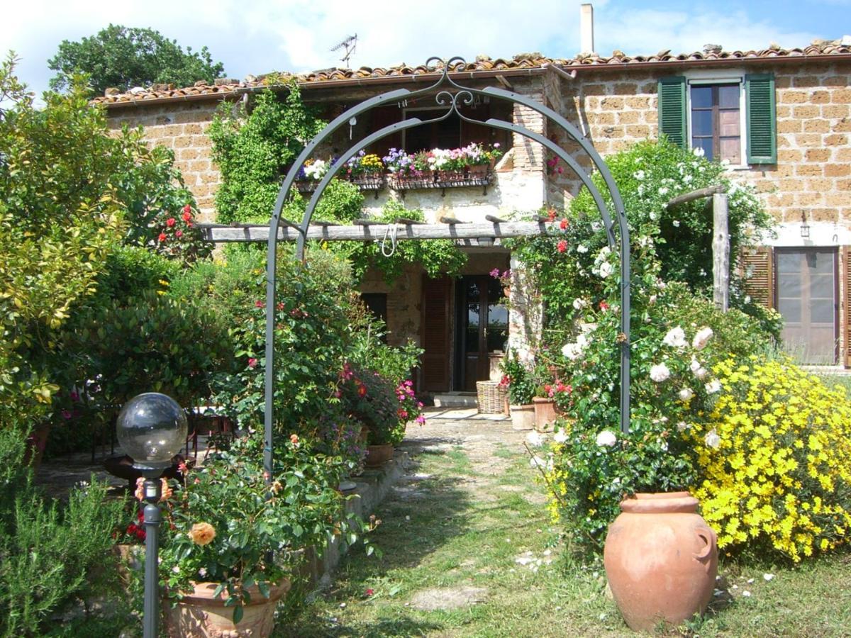 Le Querciolaie Monte Cavallo - Lower Apartment Saturnia Eksteriør bilde